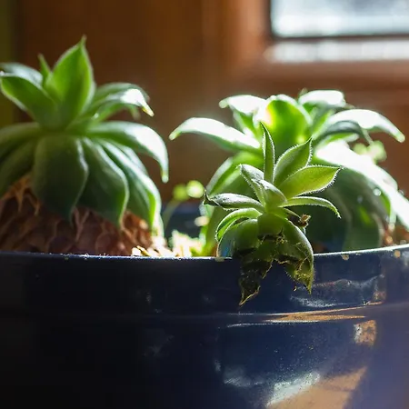 Corno Grande - Spacious - 2 Baths - Wi Fi- Center - Free Parking * Л'Акуила