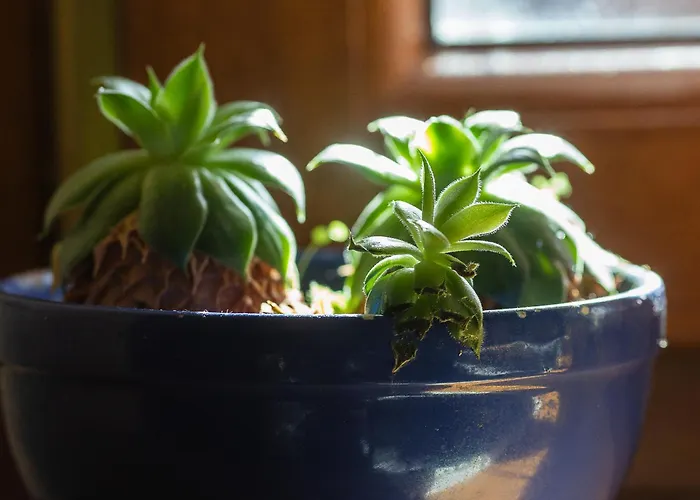 Corno Grande - Spacious - 2 Baths - Wi Fi- Center - Free Parking * LʼAquila